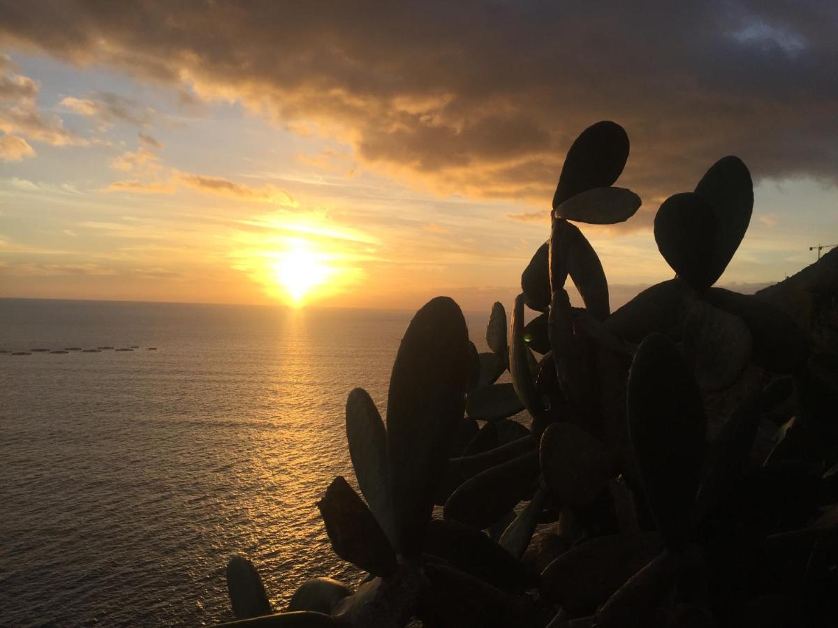 Mango House Βίλα Arco da Calheta  Εξωτερικό φωτογραφία