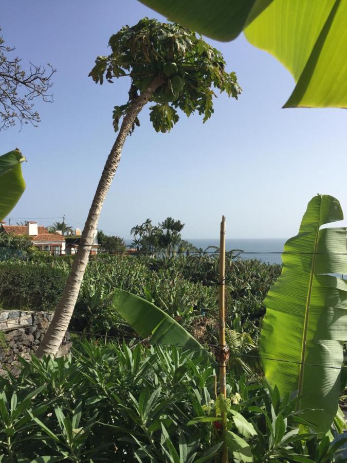 Mango House Βίλα Arco da Calheta  Εξωτερικό φωτογραφία